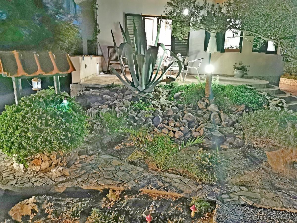 Apartmani Antonela&Andrej Privlaka  Εξωτερικό φωτογραφία