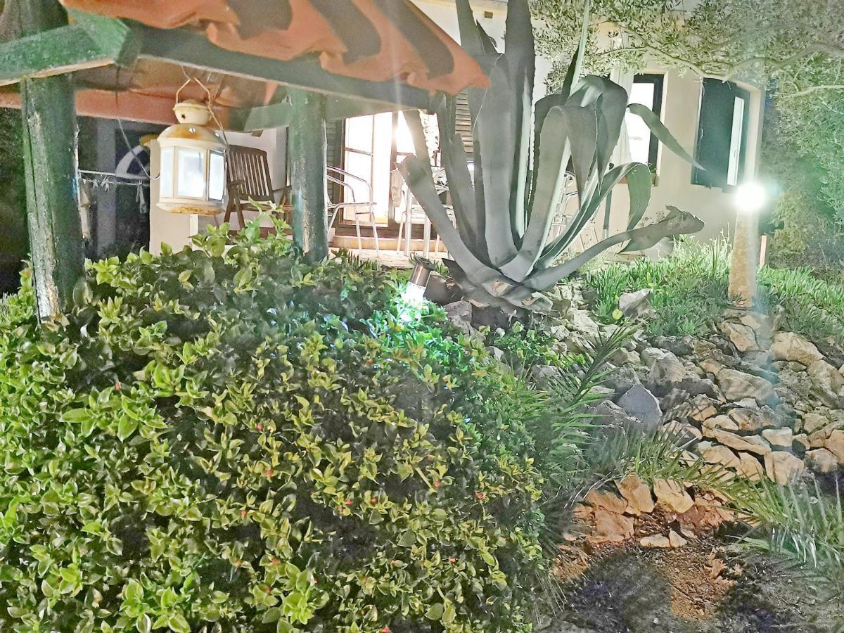 Apartmani Antonela&Andrej Privlaka  Εξωτερικό φωτογραφία