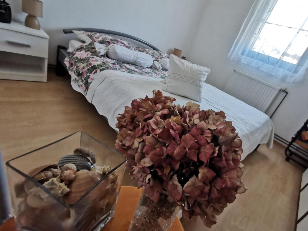 Apartmani Antonela&Andrej Privlaka  Εξωτερικό φωτογραφία