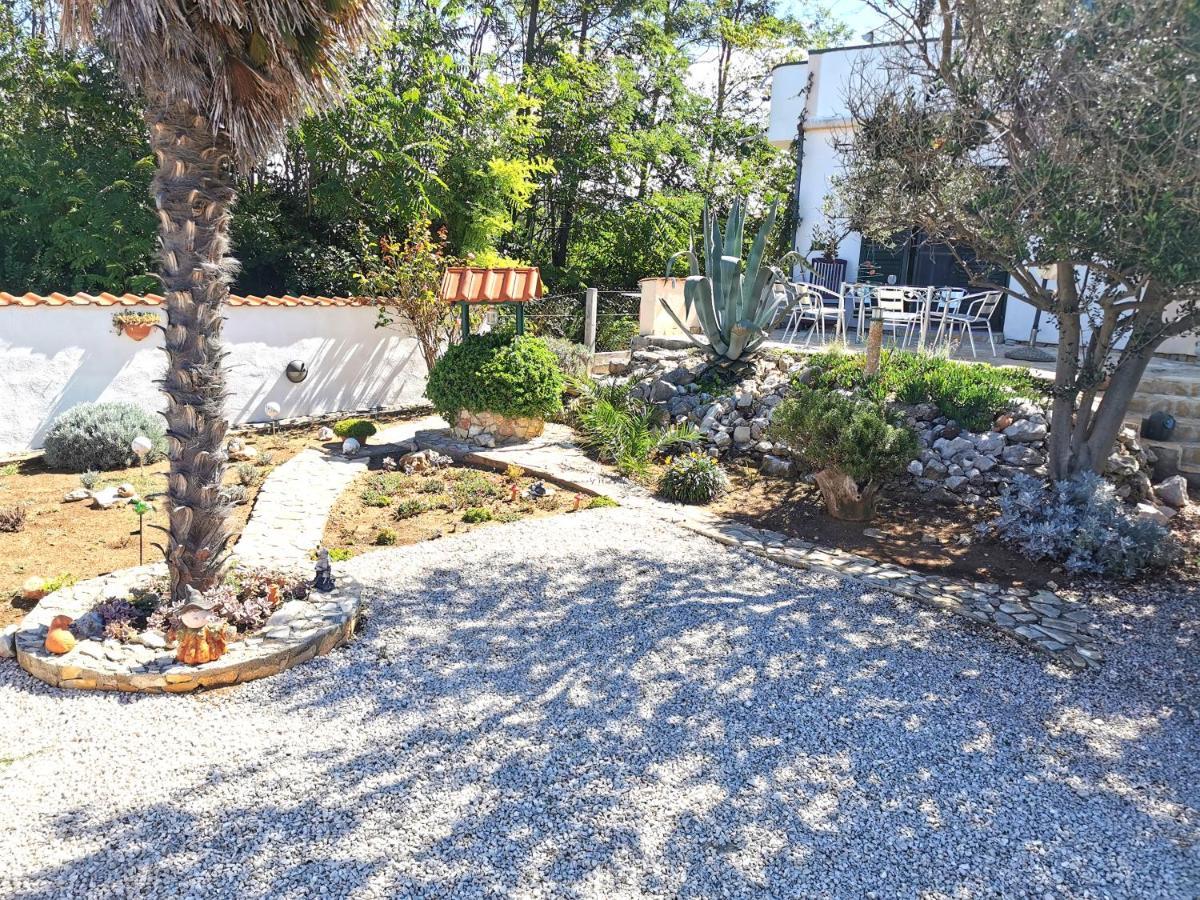 Apartmani Antonela&Andrej Privlaka  Εξωτερικό φωτογραφία