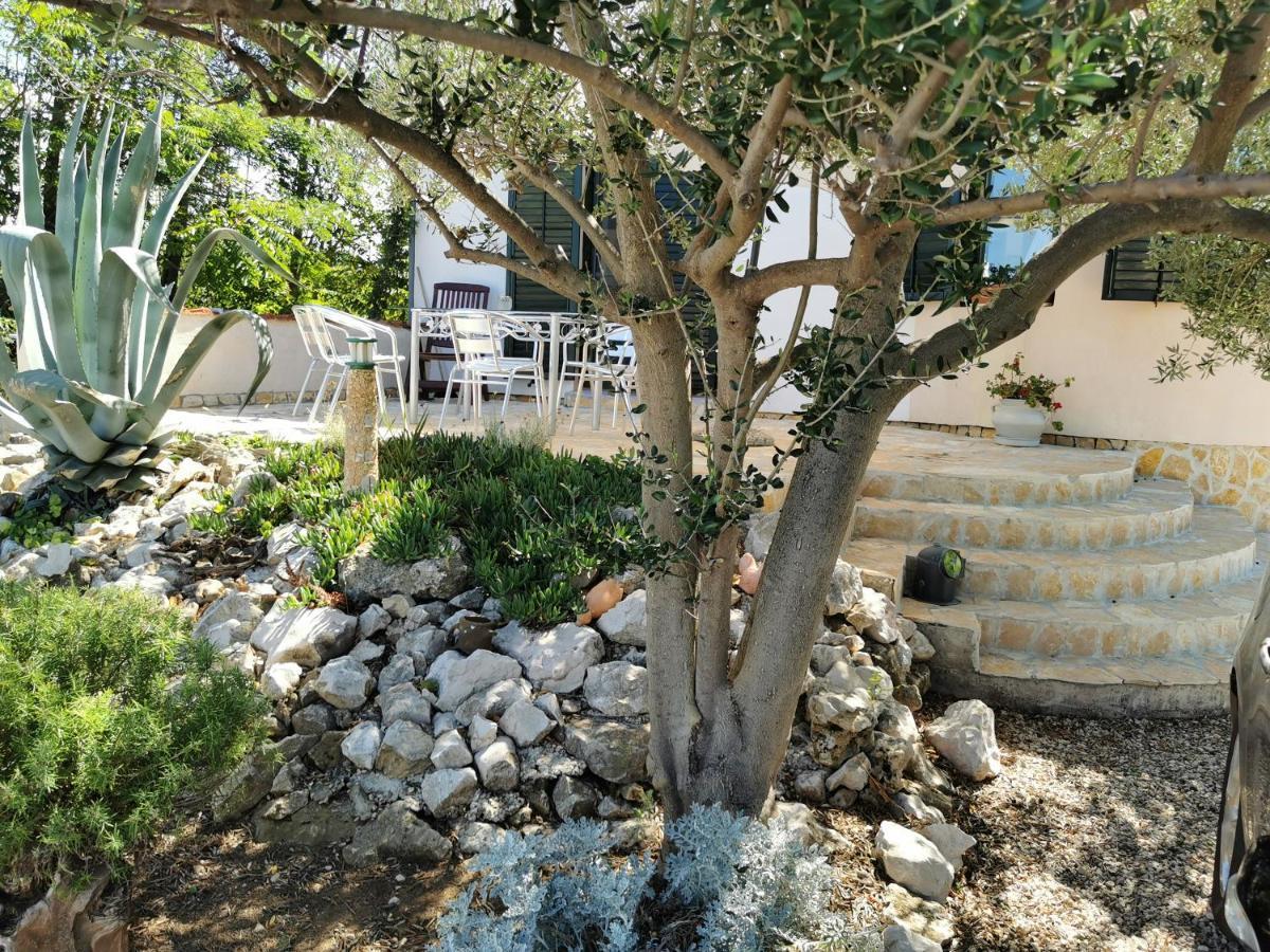 Apartmani Antonela&Andrej Privlaka  Εξωτερικό φωτογραφία