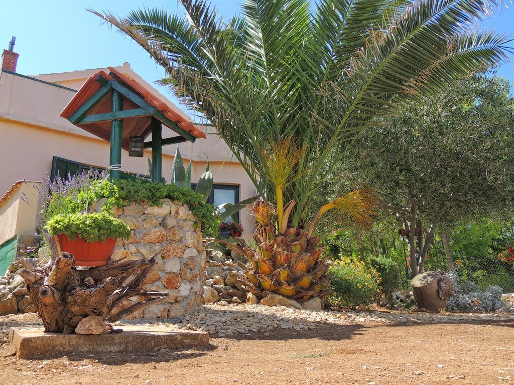 Apartmani Antonela&Andrej Privlaka  Εξωτερικό φωτογραφία