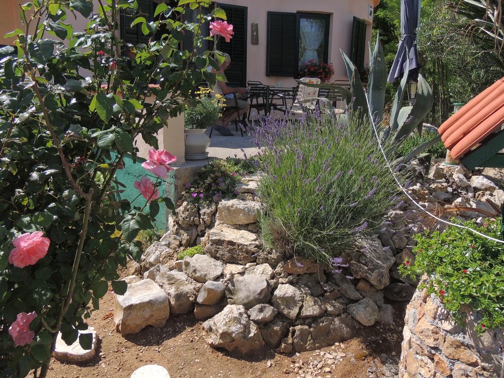 Apartmani Antonela&Andrej Privlaka  Εξωτερικό φωτογραφία